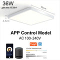 Smart LED ceiling lamp with wood grain finish from Craft Plus, featuring Alexa and Google voice control, modern lighting for home.